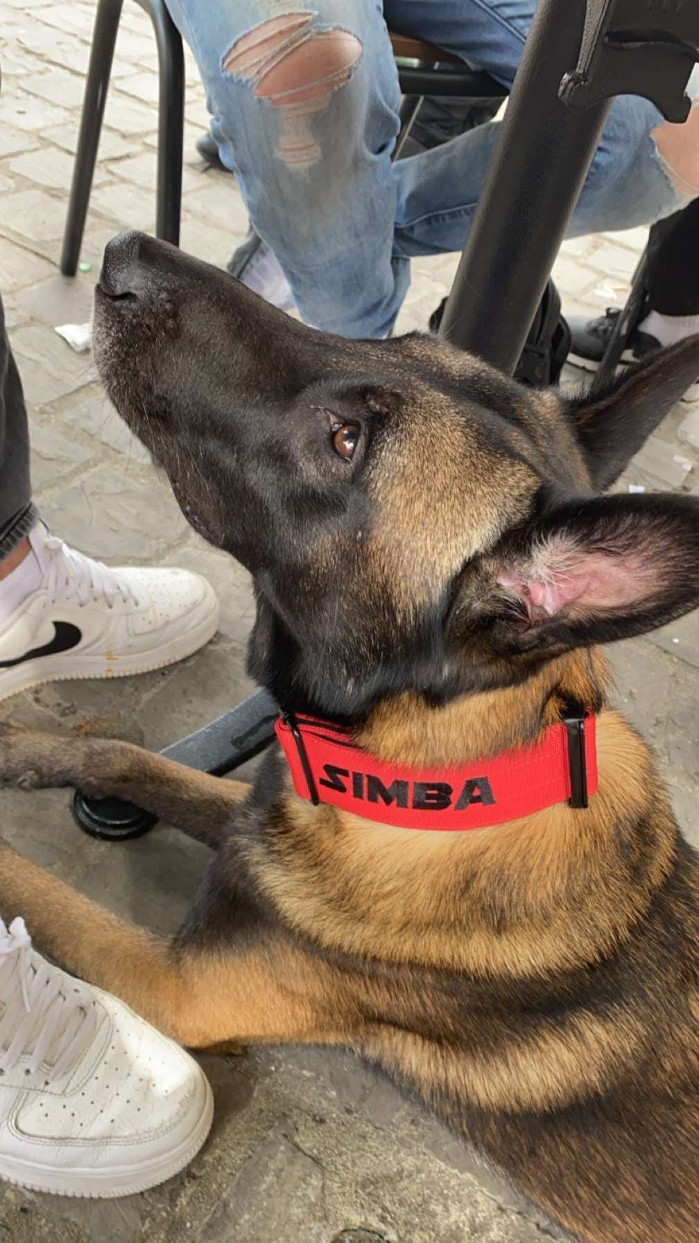 Review by Simba